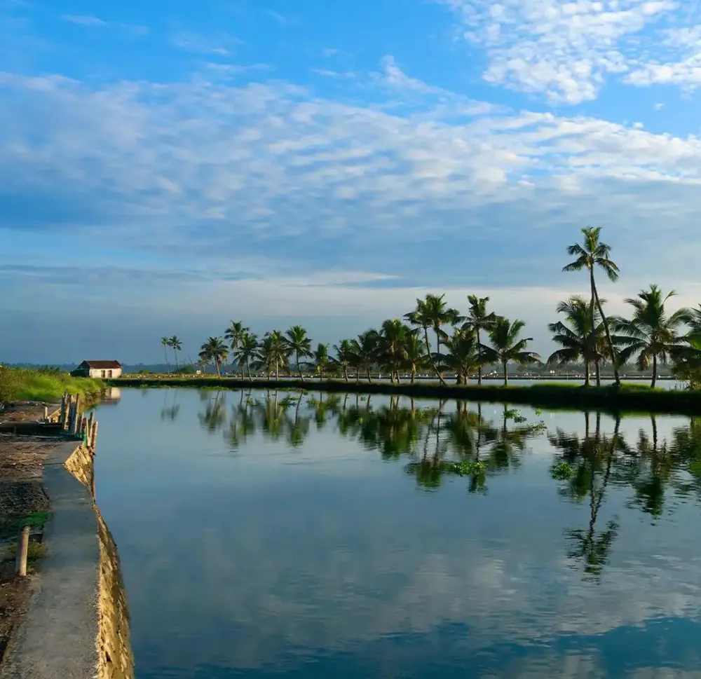 Kadamakudy Islands